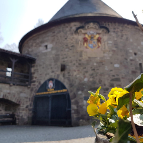 Frühling an der Rotunde (c) Wagner April 2019.jpg Frühling an der Rotunde, Hann. Münden