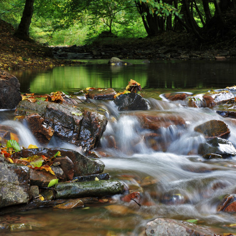 Bachlauf im Naturpark Münden Bachlauf im Naturpark Münden