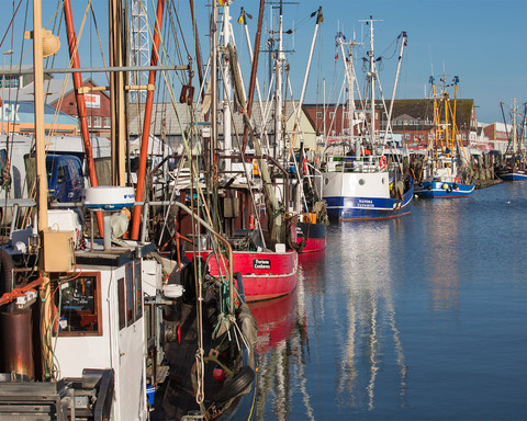 Der Alte Fischereihafen