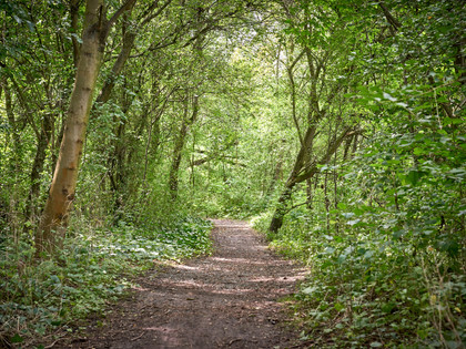 Salzgitter-Höhenzug_Achim Meurer_Nördliches Harzvorland Salzgitter-Höhenzug_Achim Meurer_Nördliches HarzvorlandSalzgitter-Höhenzug_Achim Meurer_Nördliches HarzvorlandSalzgitter-Höhenzug_Achim Meurer_Nördliches HarzvorlandSalzgitter-Höhenzug_Achim Meurer_Nördliches Harzvorland