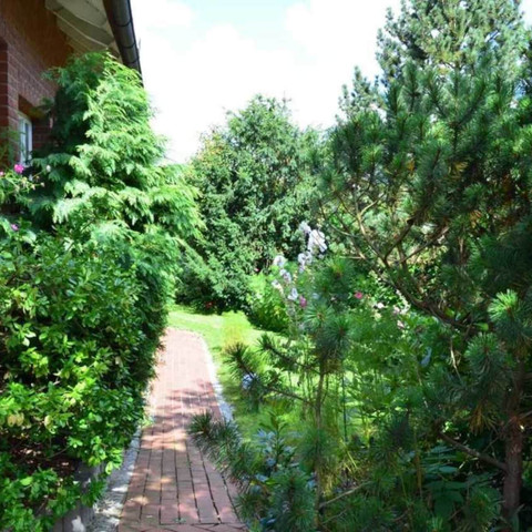 Ferienwohnung "Am Wittenborn", Hausansicht Ferienwohnung "Am Wittenborn", Hausansicht