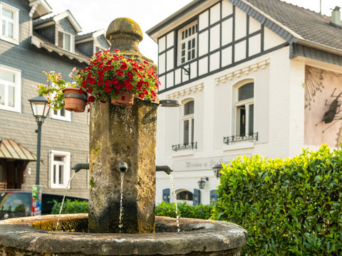 Altstadt Ruppichteroth Ein alter Brunnen mit Blumen, im Hintergrund traditionelle Fachwerkhäuser in Ruppichteroth.