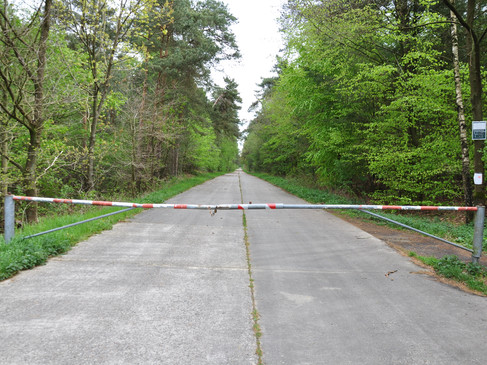 WTM004_Unverwüstliche Straße_DSC_0530.JPG