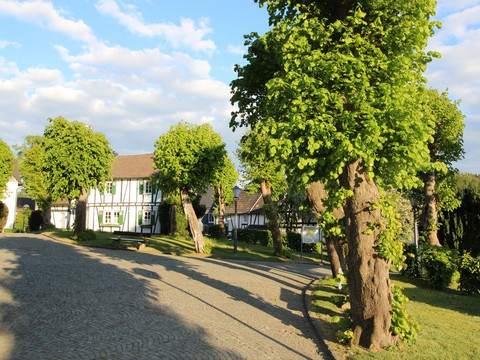 Morsbach Fachwerkhäuser mit roten Dächern umgeben von gepflegten Grünflächen und Bäumen im Sonnenlicht.
