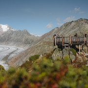 View Point Moosfluh im Sommer View Point Moosfluh im Sommer