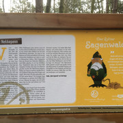 Expedition Uthlande-SylterNorden_Sagenwald_EkkeNekkepenn©NatalieEckelt