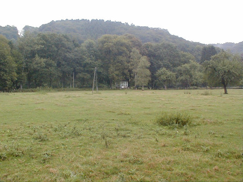 OLYMPUS DIGITAL CAMERA  OLYMPUS DIGITAL CAMERA