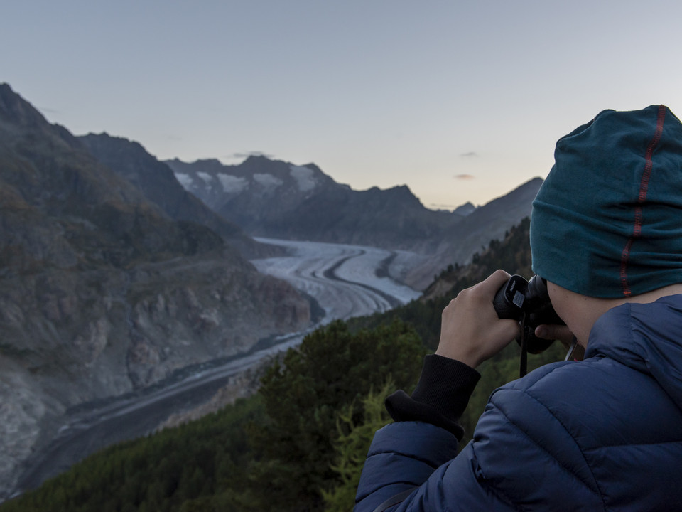 Wildbeobachtung am Grossen Aletschgletscher