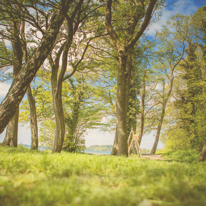 Schattige Liegewiese an der Badestelle auf der Prinzeninsel in Plön