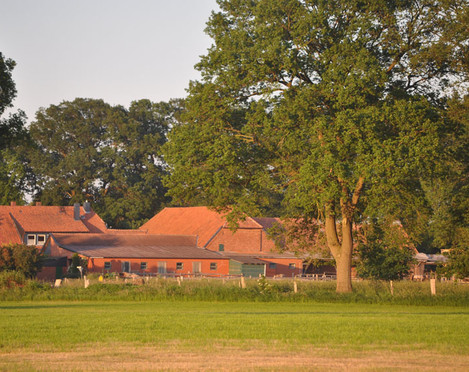 Moorhof Landesbergen