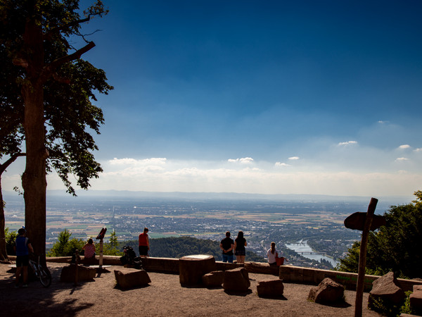 1663_Koenigstuhl (c) Tobias Schwerdt.jpg