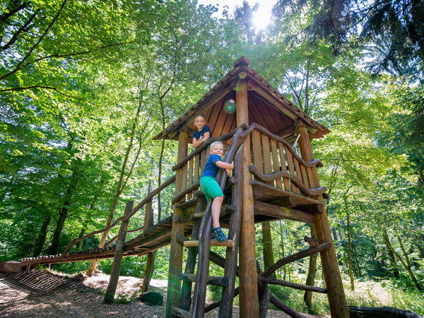 1666_Koenigstuhl Naturlehrpfad (c) Tobias Schwerdt.jpg