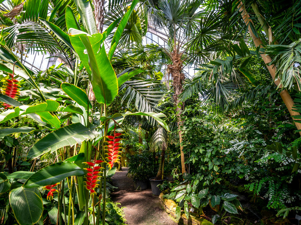 1586_Botanischer Garten (c) Tobias Schwerdt.jpg