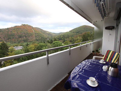 Ferienwohnung Riefenbach in Bad Harzburg - Balkon