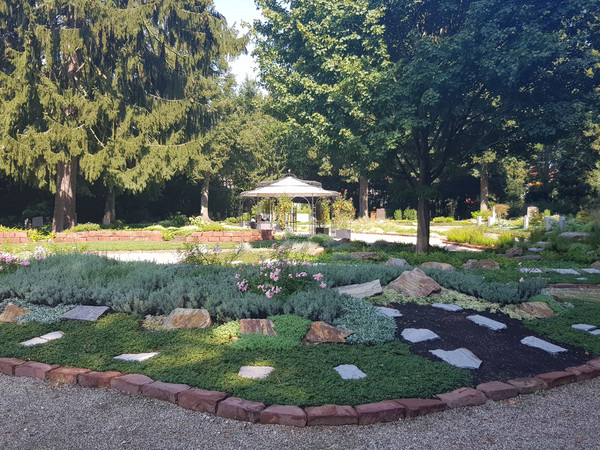 2663_Bergfriedhof2019 (c) Steffen Schmid.jpg