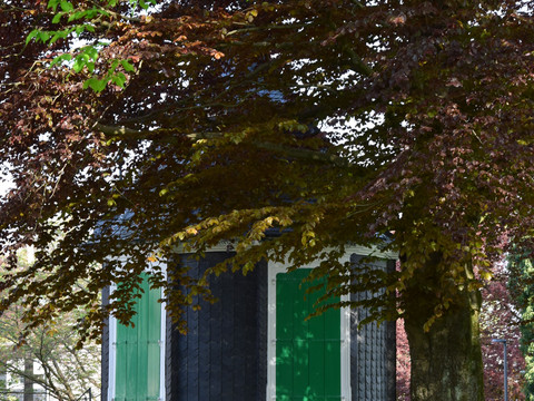 Historisches Gartenhaus  Kleines, historisches Fachwerkhaus mit grünen Fensterläden unter einem Baum in Radevormwald.