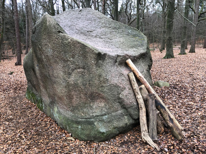Giebichenstein Ein großer Felsbrocken liegt im lichten Herbstwald, gestützt von mehreren abgestorbenen Holzstämmen.