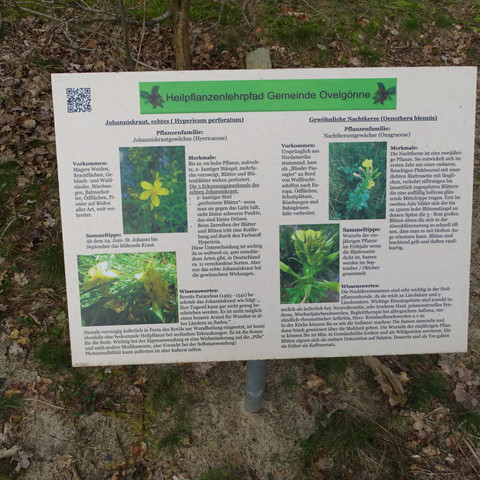 Heilpflanzenlehrpfad