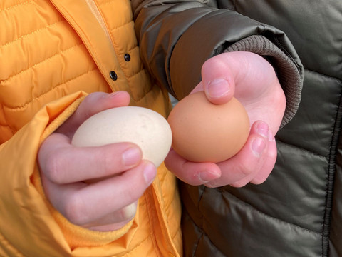 Eiertitschen © Inga Dohmann, Naturpark Bergisches Land