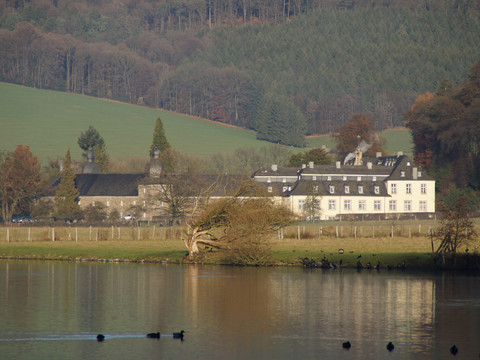 Sicht auf das Schloss vom Stausee Das Bild zeigt das Schloss Ehreshoven in Engelskirchen an einem See, umgeben von herbstlichen Bäumen.