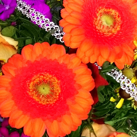 Carola's Blumen Blumenstrauß