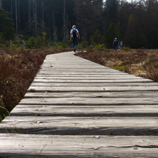 Vitalium Dr. von Plachy Wanderung 09.jpg