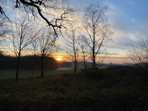 Sonnenuntergang hinter Bäumen in einer ländlichen Landschaft.