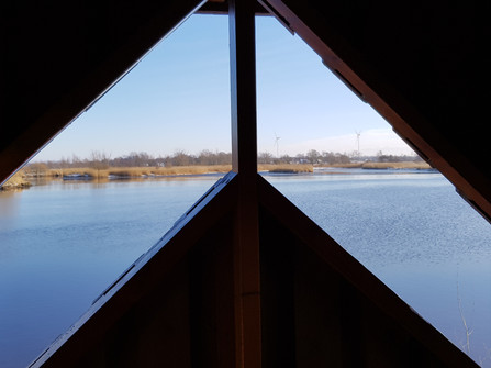Blick aus dem Naturbeobachtungsturm an der Oste-Pütte