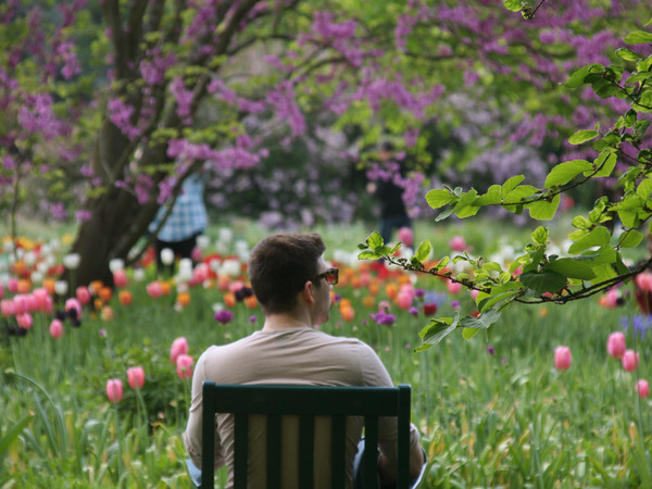 2195_Weinheim Hermannshof (c) Maria Zimmermann.jpg