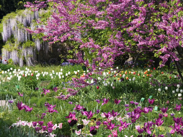 2196_Weinheim Hermannshof (c) Maria Zimmermann.JPG
