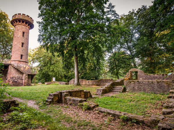 1652_Heiligenberg Aussichtsturm (c) Tobias Schwerdt.jpg.jpg