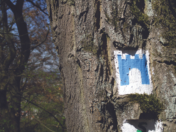 Burgensteig Bergstraße Markierung_Foto Maria Zimmermann.jpg