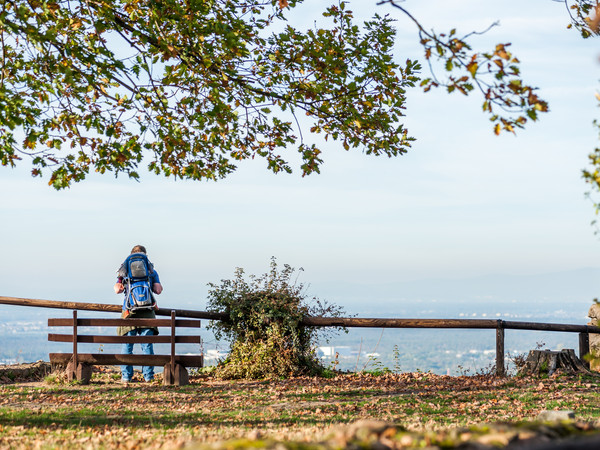 Bergstrasse-Wanderer mit Panoramablick_Foto Petra Arnold.jpg