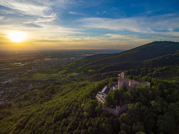 Auerbacher Schloss Bensheim_Foto Thomas Jeckel.jpg