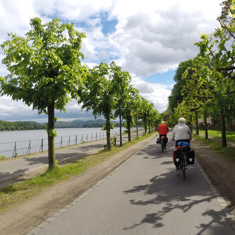 Radfahren am Rhein