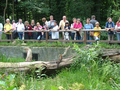 Otter Zentrum Otter Zentrum