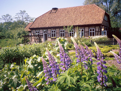 Otter Zentrum Otter Zentrum