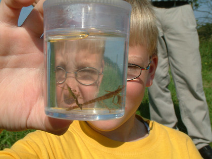 Otter Zentrum Otter Zentrum