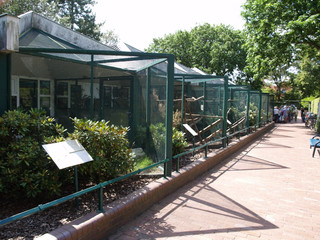 Zoo - 2009.07.27 - 14.22.46.JPG