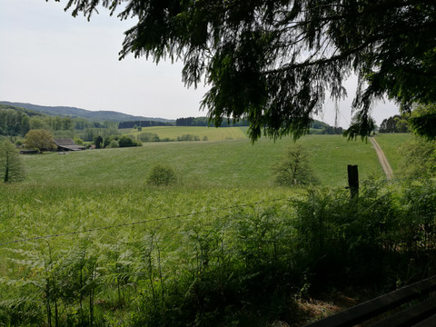 L`ommer jon Weg  Weite grüne Wiesen in Lindlar, gesäumt von Bäumen, mit Hügeln am Horizont unter leicht bewölktem Himmel.