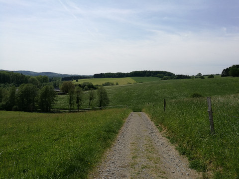 L`ommer jon Weg  Landschaft in Lindlar mit einem schmalen Feldweg, umgeben von grünen Wiesen und sanften Hügeln.