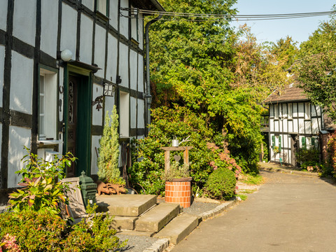 Lohmar-Muchensiefen <p>Fachwerkhäuser in einer ruhigen, sonnigen Gasse mit grünem Bewuchs in Lohmar.</p>