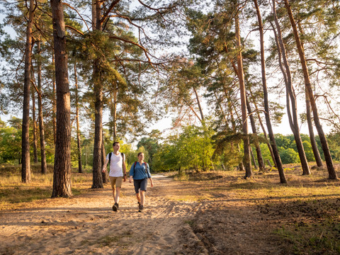 Wahner Heide Wanderweg durch dichten Wald bei Rösrath, zwei Personen gehen entspannt an hohen Kiefern entlang.