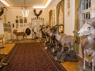 Wasserschloss Heerse - Museum für Naturkunde und Jagdkultur