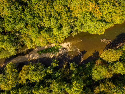 Aggerbogen Waldlandschaft aus der Vogelperspektive mit Fluss und sandigem Ufer in sonnigem Licht.