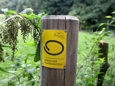 Bergischer Panoramasteig Ein Holzpfosten zeigt ein gelbes Schild mit dem Logo des Bergischen Panoramasteigs in grüner Umgebung.