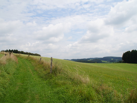 Wipperfürth-Thier Das Bild zeigt einen grünen Wiesenweg in hügeliger Landschaft unter leicht bewölktem Himmel.