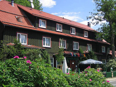 Mandelholz - Grüne Tanne