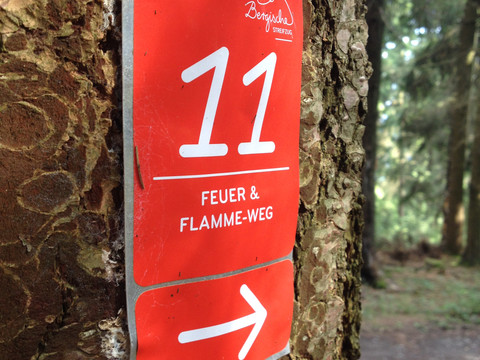 Streifzug Feuer- und Flammeweg Rotes Wegschild am Baum für den "Feuer & Flamme-Weg" mit Pfeil und der Nummer 11.