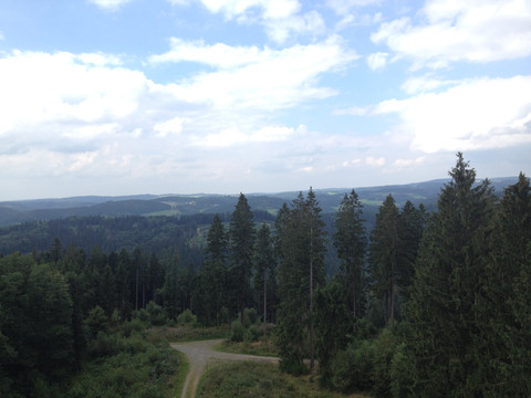 Streifzug Feuer- und Flamme-Weg  Waldlandschaft mit Nadelbäumen, sanften Hügeln und weitem Himmel unter teils bewölktem Himmel.